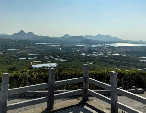 http://www.fszhongqun.com.cn平度大澤山葡萄園引進(jìn)萊恩德土壤肥料檢測(cè)儀， 輕松掌握土壤營(yíng)養(yǎng)